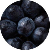 Grape Seed, Rutin & Quercetin